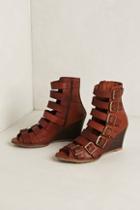 67 Collection Ladder Wedges