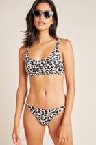 Tori Praver Marlowe Leopard Bikini Bikini Bikini Bottom