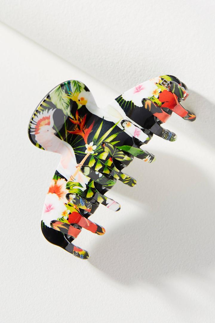 Alexandre De Paris Tropical Birds