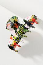 Alexandre De Paris Tropical Birds