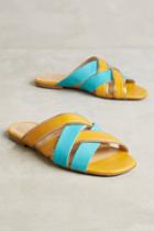 Vicenza Sunny Slide Sandals