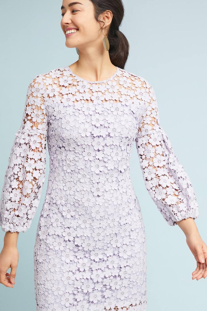 Shoshanna Vina Lace Dress