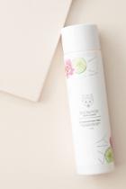 Snow Fox Skincare Cucumber Recovery Tonic