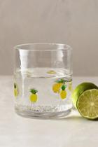 Anthropologie Fruit Wedge Tumbler