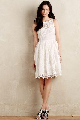 Anthropologie Pina Lace Dress