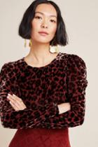 Dolan Left Coast Charley Velvet Leopard Blouse
