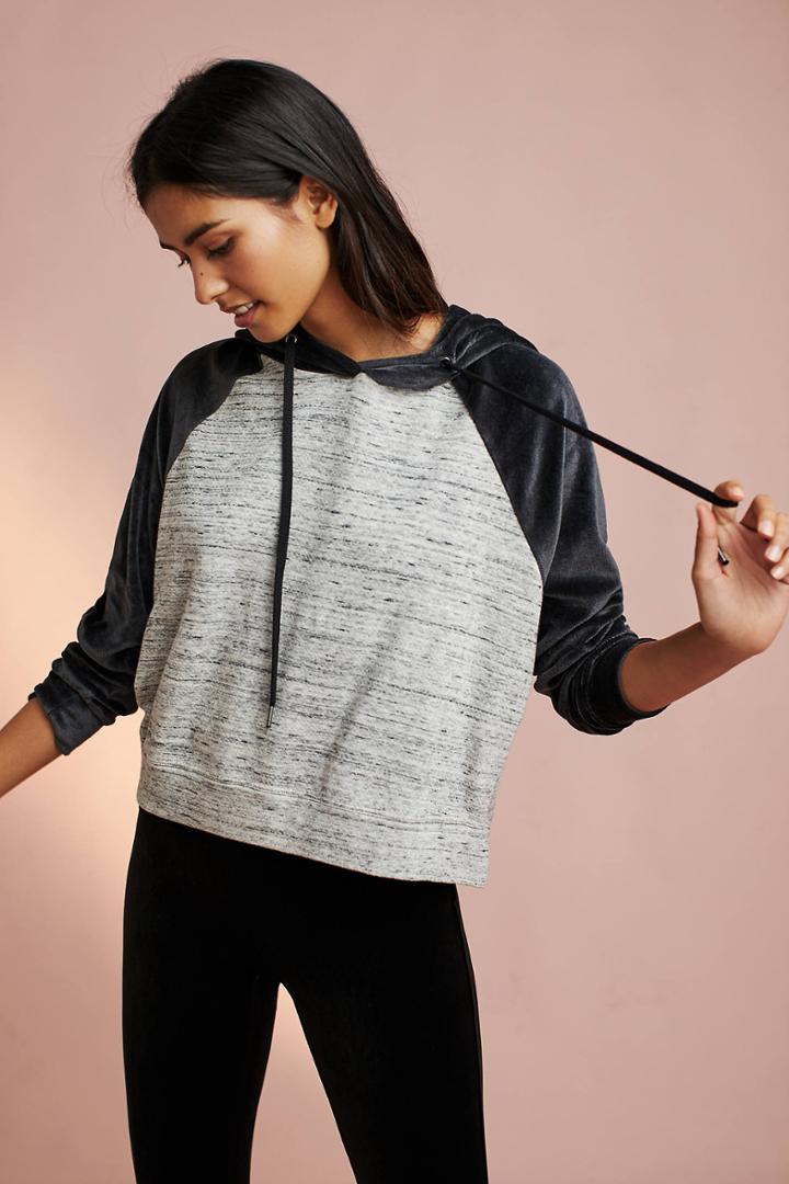 Splendid Velour Sweatshirt