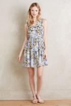 Hd In Paris Avenida Ruffled Dress