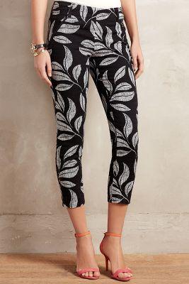 Cartonnier Arbre Charlie Trousers