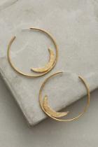 Amanda Hunt Equinox Hoops