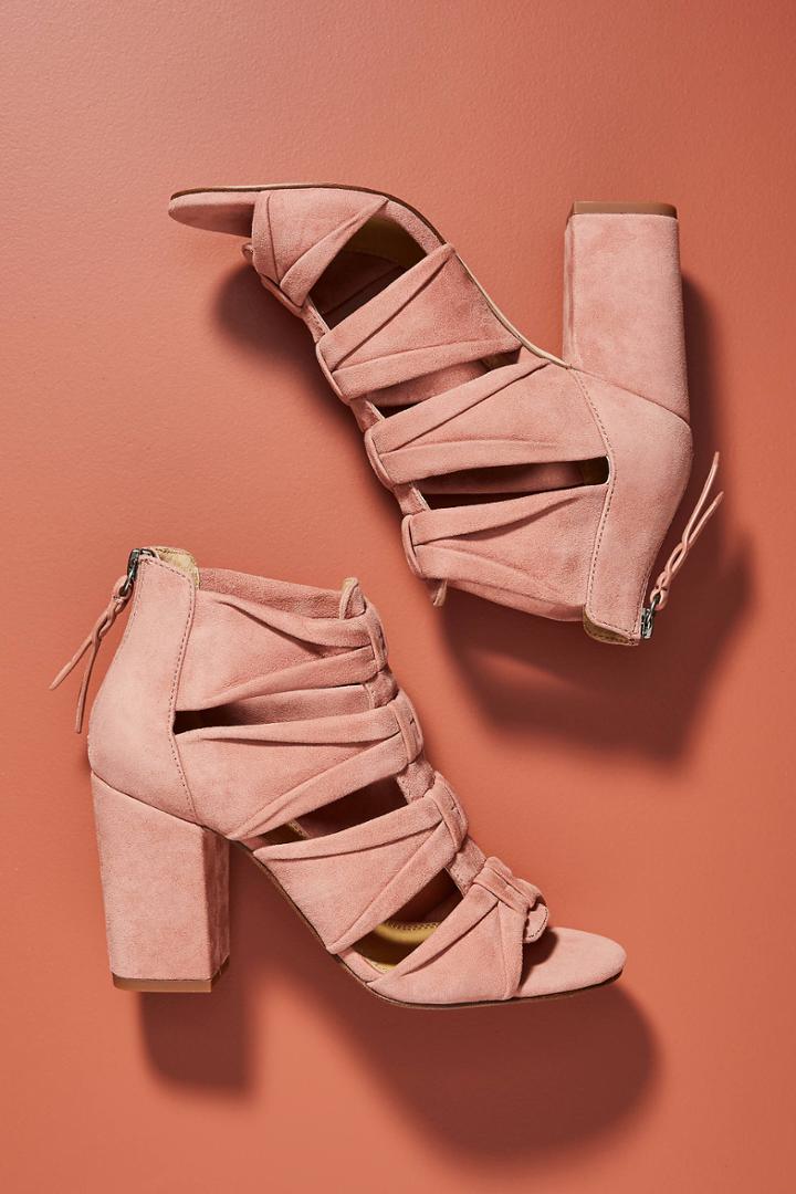 Splendid Nando Shooties