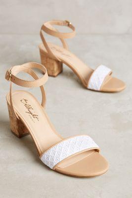 Miss Albright Cayo Heels