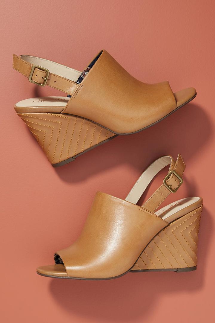 Seychelles Abyssal Wedges