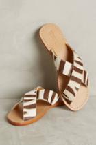 Mystique Zebra Slide Sandals