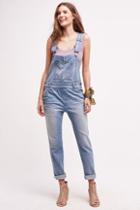 Current/elliott Charley Overalls Hillman Destroy