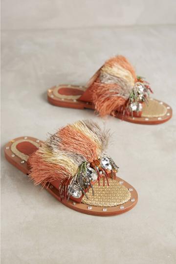 Sanchita Fero Slides