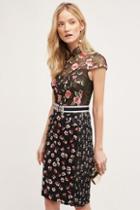 Byron Lars Alpine Rose Dress