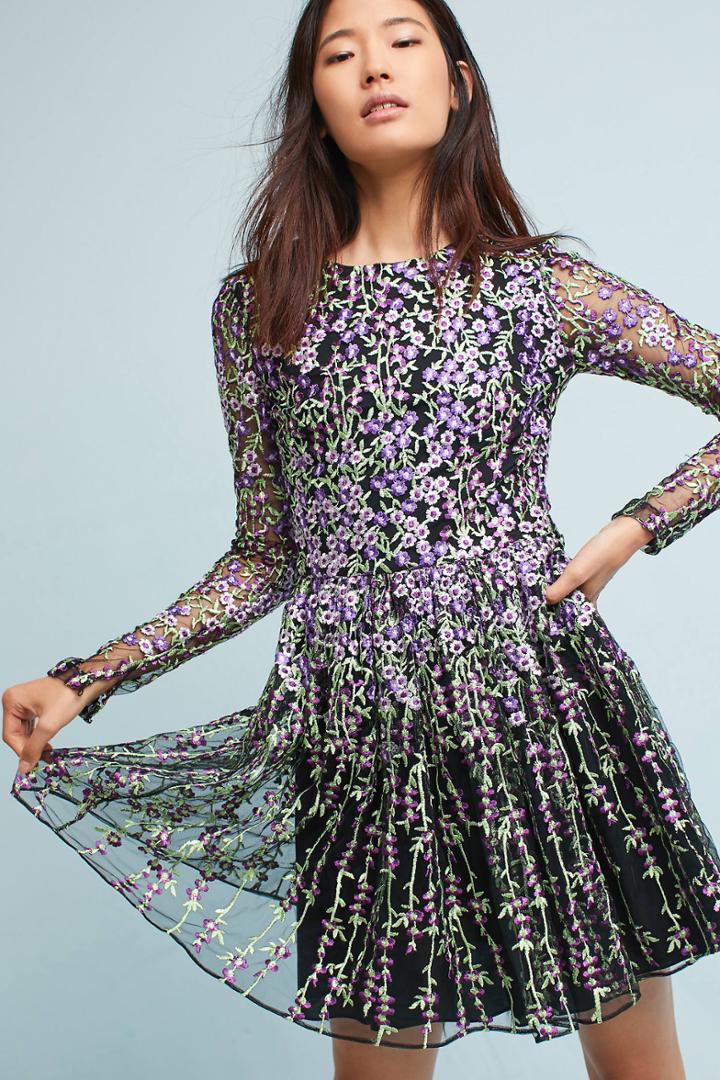 Badgley Mischka Arranmore Embroidered Dress