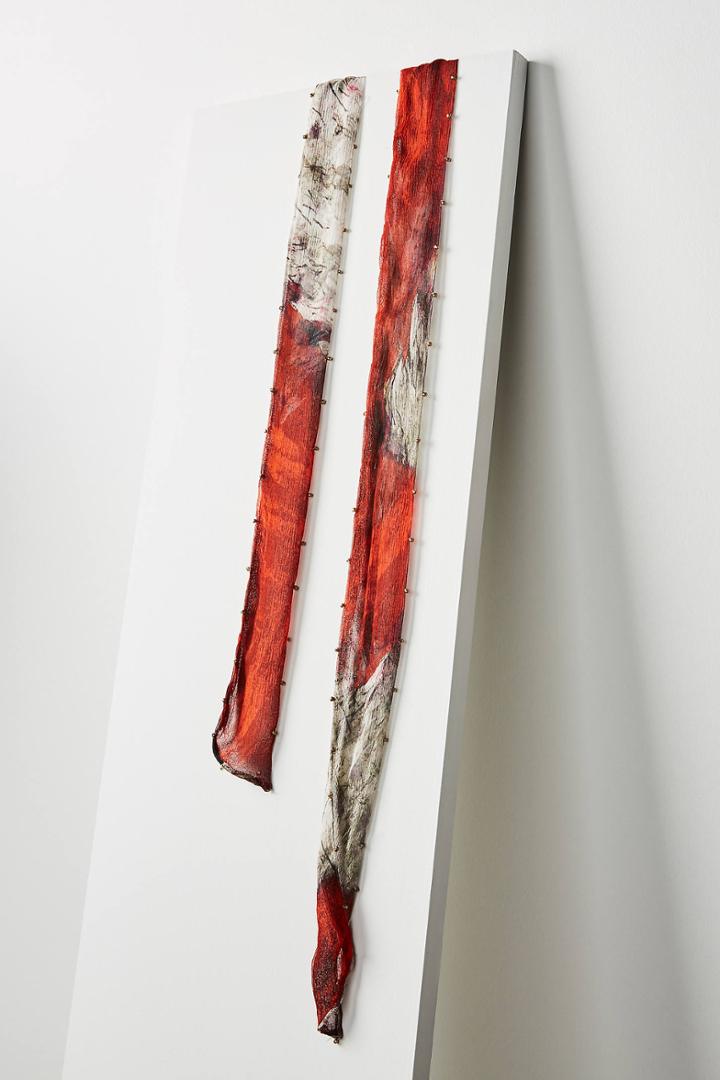 Anthropologie Scarlett Skinny Scarf