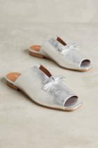 Intentionally Blank Silver Bow Mules