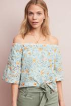 Laia Ashtabula Off-the-shoulder Blouse