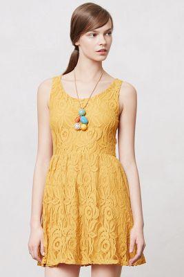 Bergamot Lace Dress