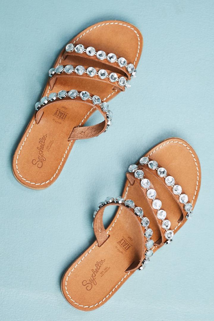 Seychelles Stress Free Slide Sandals