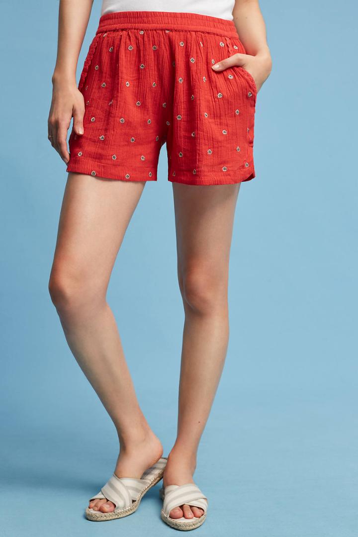Isato Embroidered Metallic Shorts