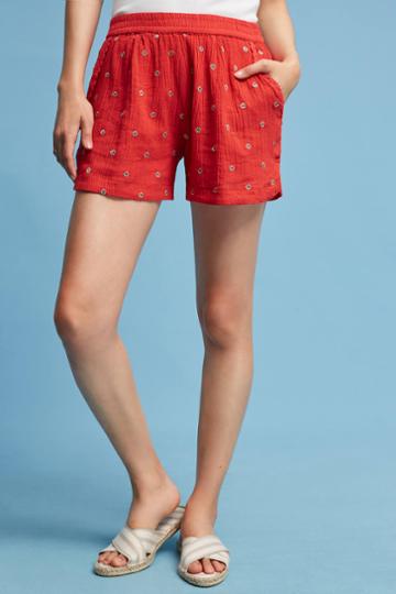 Isato Embroidered Metallic Shorts