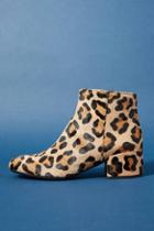 Ballerina Leopard-printed Booties