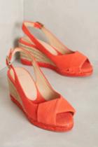 Castaer Brianda Colorblock Espadrille Wedges