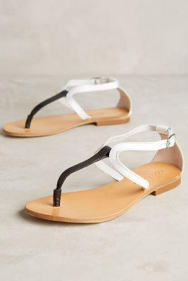 Cocobelle Crete Sandals 001 Black