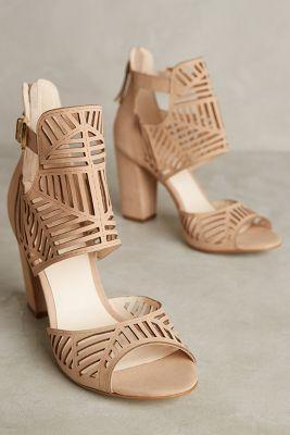 Klub Nico Jordana Shooties