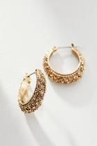 Anthropologie Stephanie Hoop Earrings