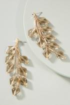 Lydell Nyc First Frost Drop Earrings