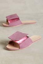 The Palatines Caeleste Slides