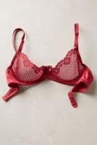 Timpa Duet Lace Underwire Demi Bra Red