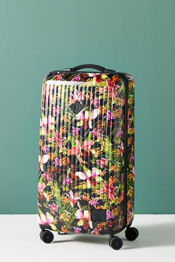 Anthropologie Herschel Supply Co.