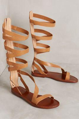 Schutz Bilquis Gladiators