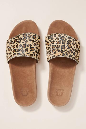Maruti Slide Sandals