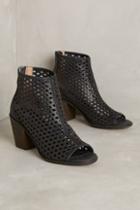 Kelsi Dagger Kyoto Shooties Black