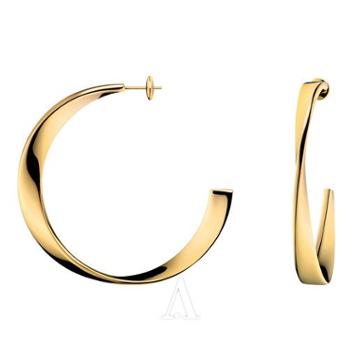 Calvin Klein Jewelry Women's Curl Earring