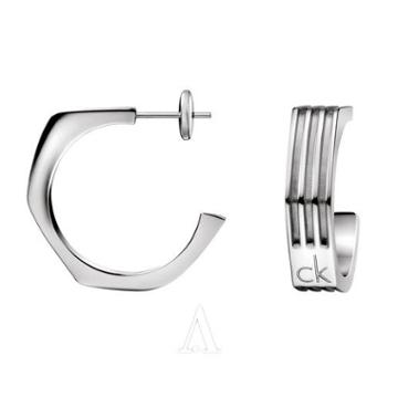 Calvin Klein Jewelry Women's Geometric Earring
