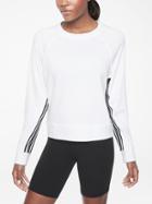 Sport Stripe Sweatshirt