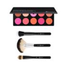 Bh Cosmetics Daily Deal - Professional Blush Palette + Blending Face Trio - 3 Piece Brush Set