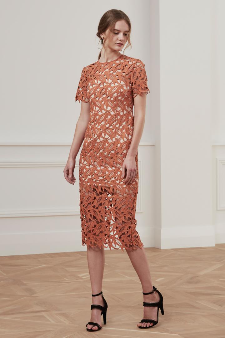 Keepsake Keepsake The Moment Lace Dress Terracotta