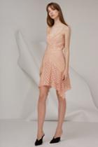 Keepsake Keepsake Bridges Lace Mini Dress Blush