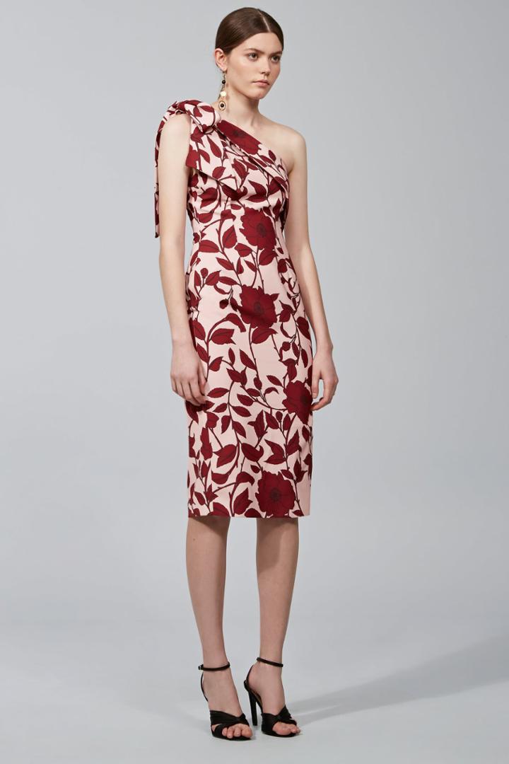 Keepsake Dream On Dress Dark Floral Print