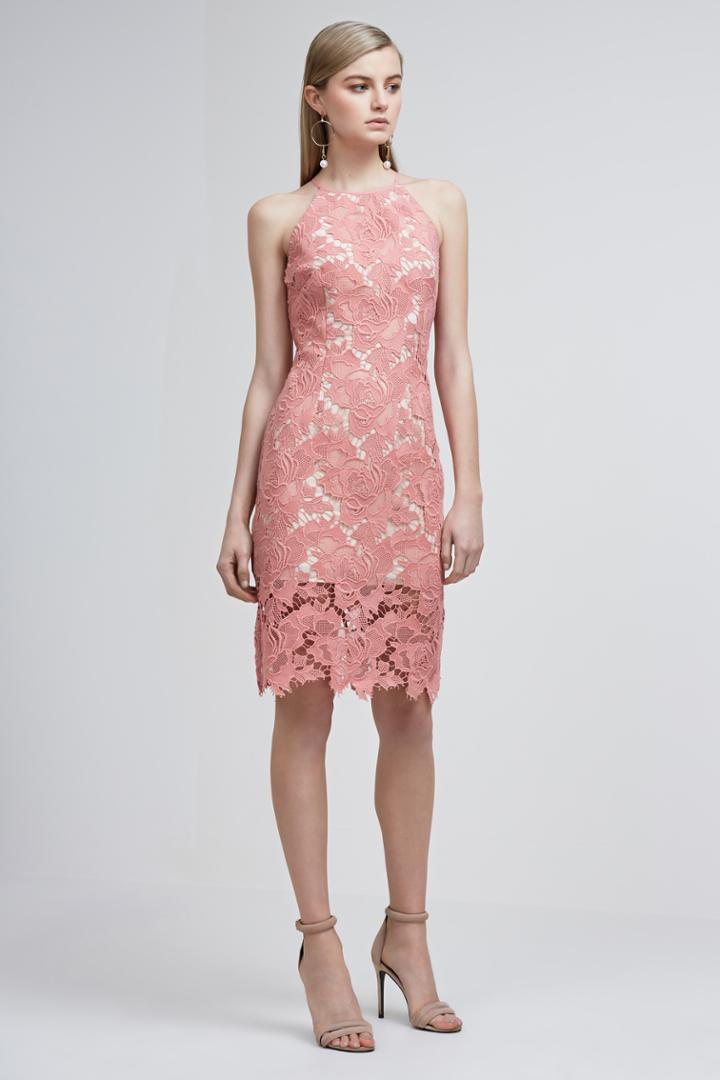 Keepsake Lonely Lover Lace Dress Rose