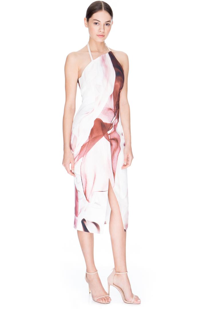 Keepsake Walk The Wire Midi Dress Ribbon Print